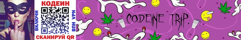 Купить где  Калачинск  Кодеин Purple Drank 