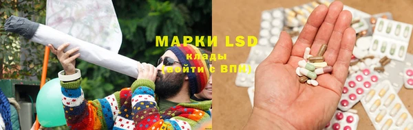 эйфоретик Нефтекумск
