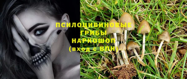 mix Нея