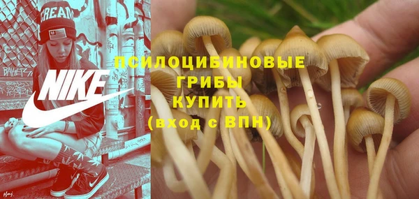 mix Нея