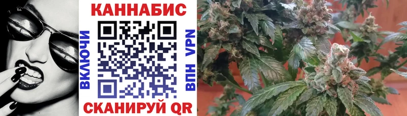 МАРИХУАНА план  Купить где  Калачинск 